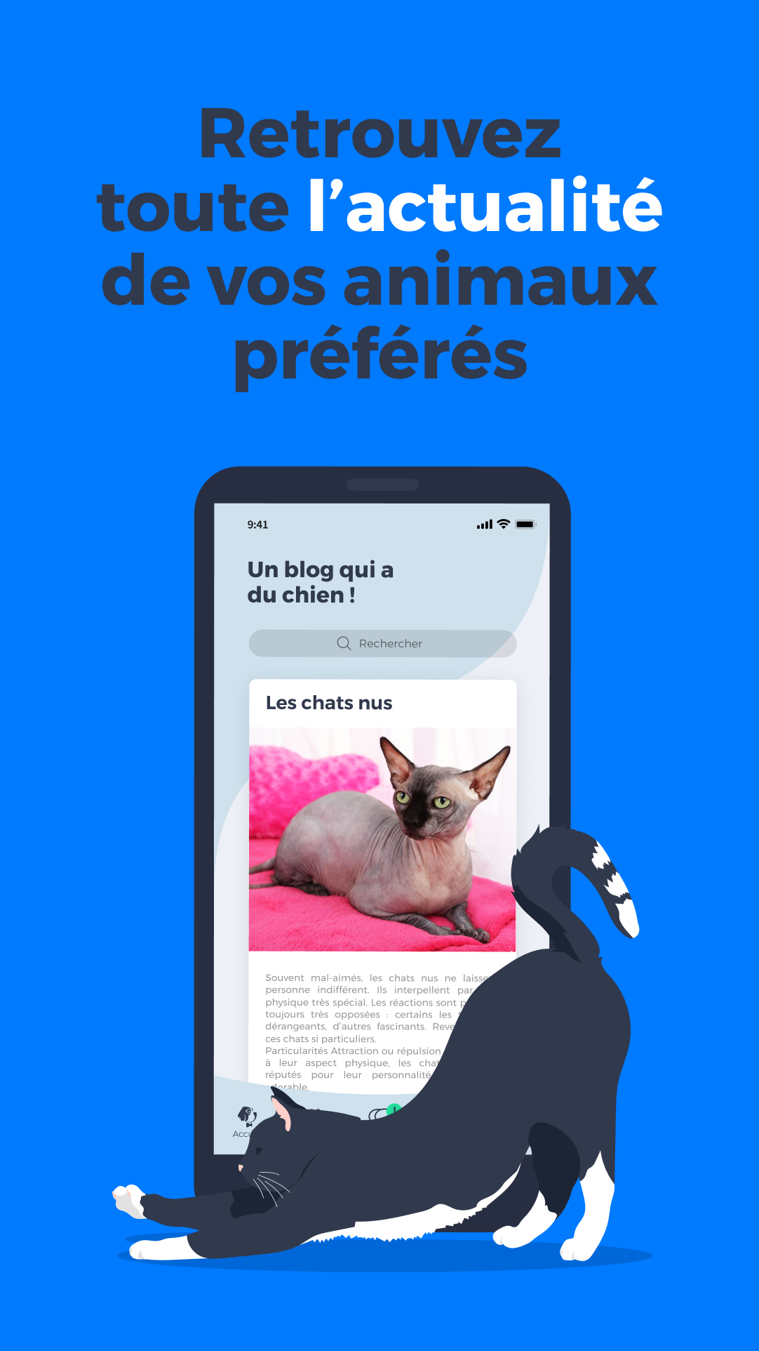Écran de l’application DrMilou — vue 4