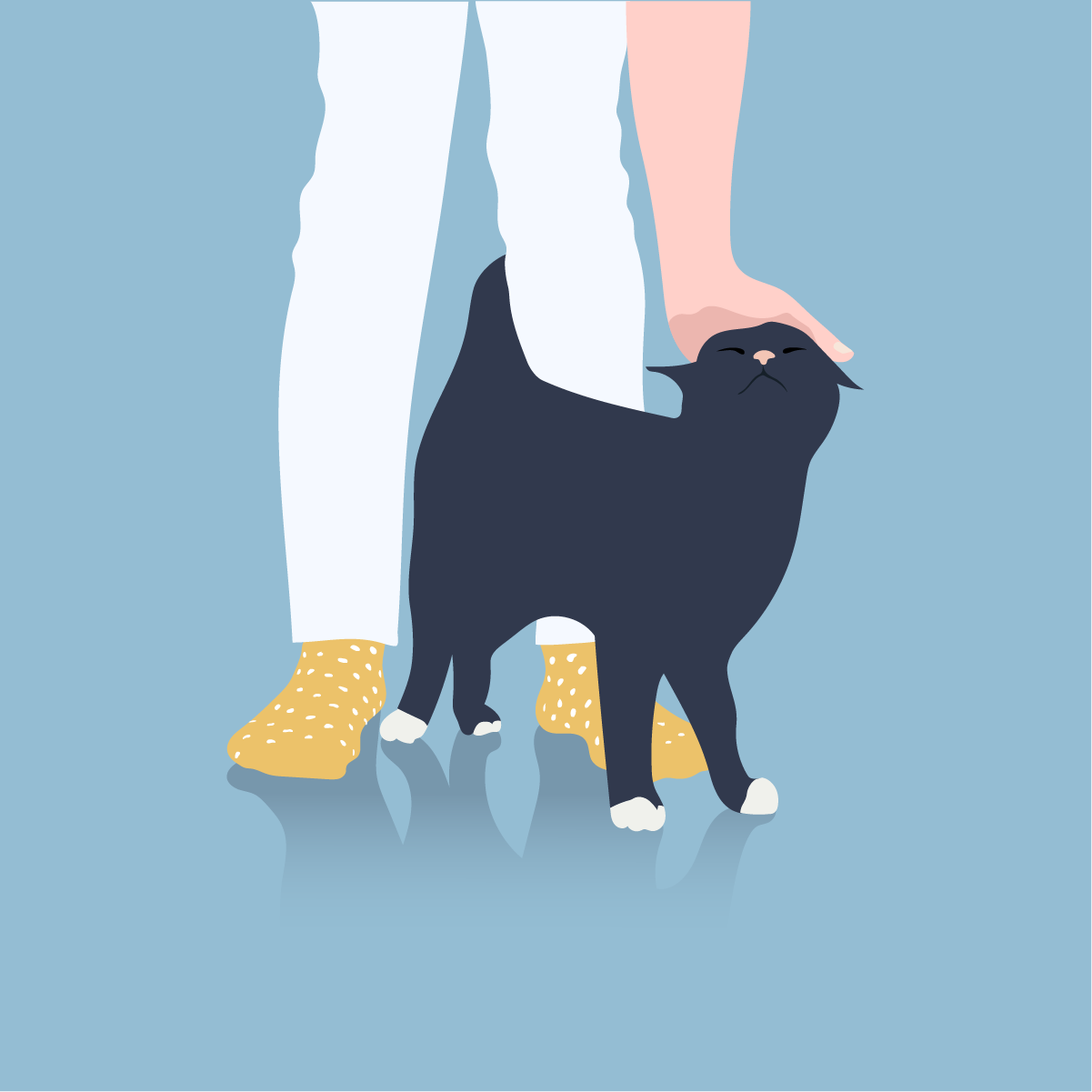 Illustration — visuel 16
